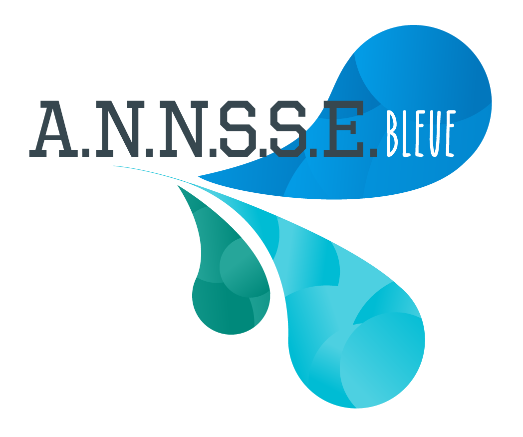 Logo ANNSSE Bleue
